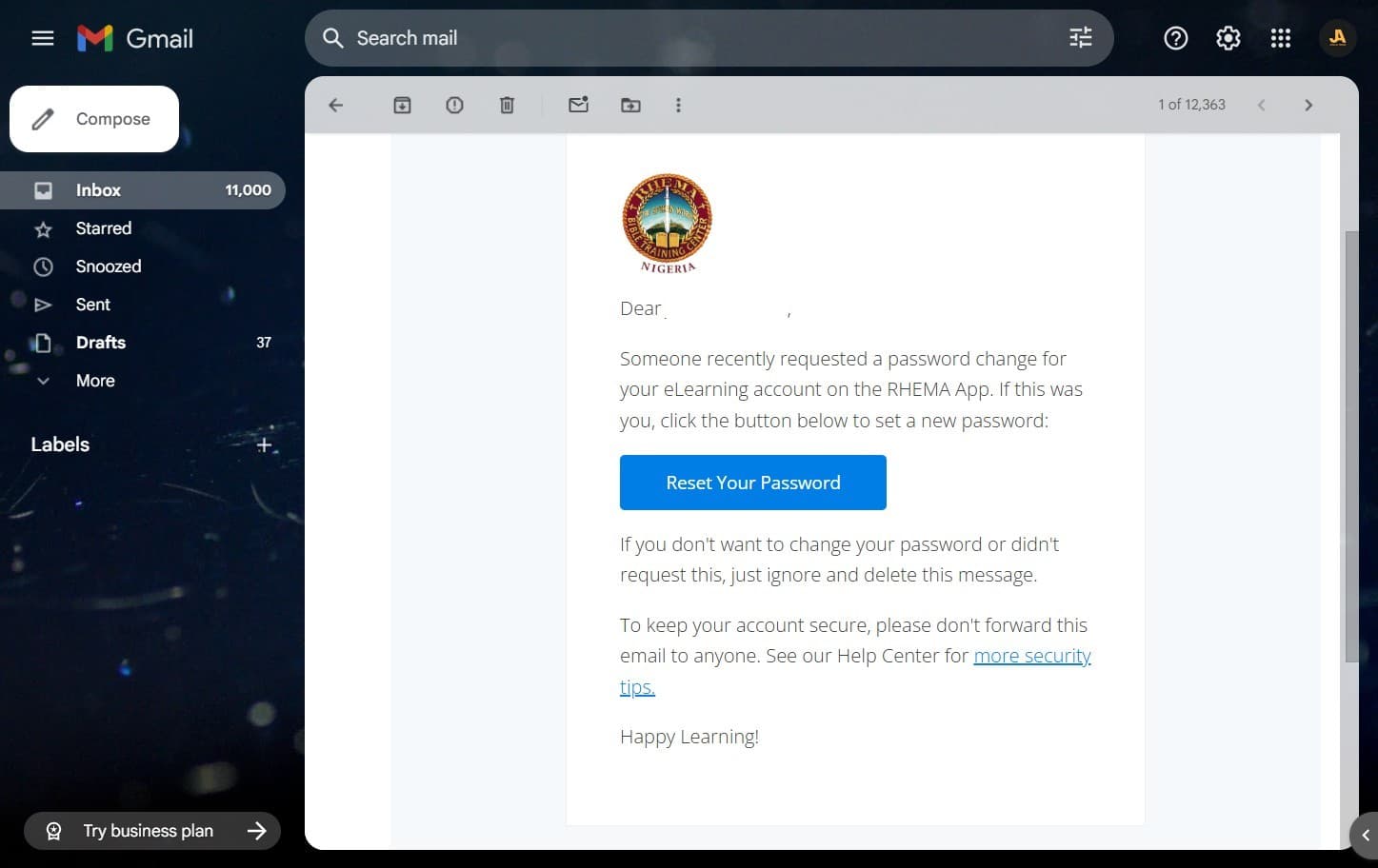 Password Reset Email